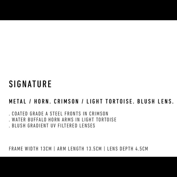 Blyszak Sunglass Sample Sale for Women and Men - Picture 2 of 3